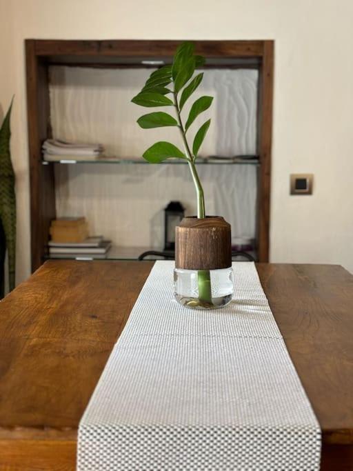Villa La Casa Vieja à Santa-Cruz de Ténérife Extérieur photo