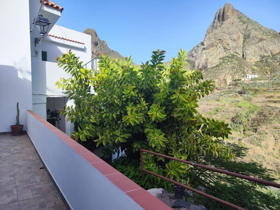 Villa La Casa Vieja à Santa-Cruz de Ténérife Extérieur photo
